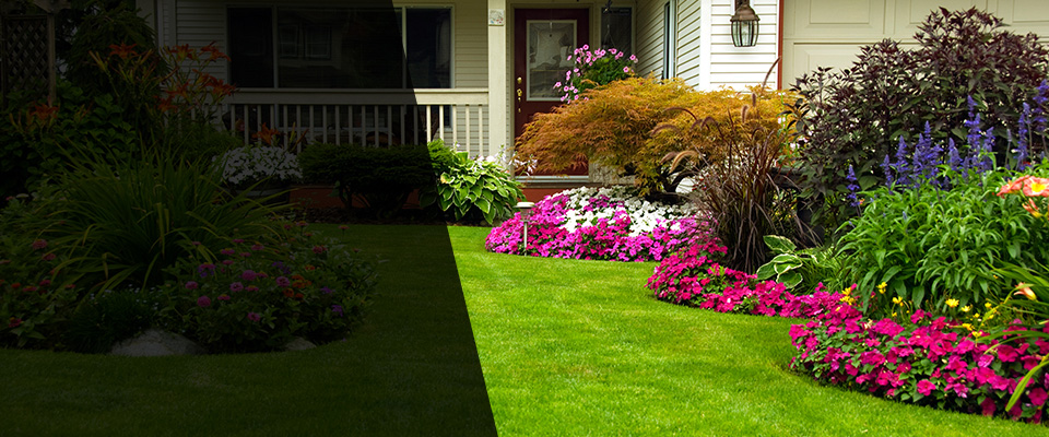 Kings Beach Landscapers