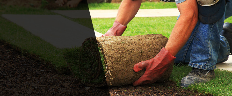 Kings Beach Landscapers
